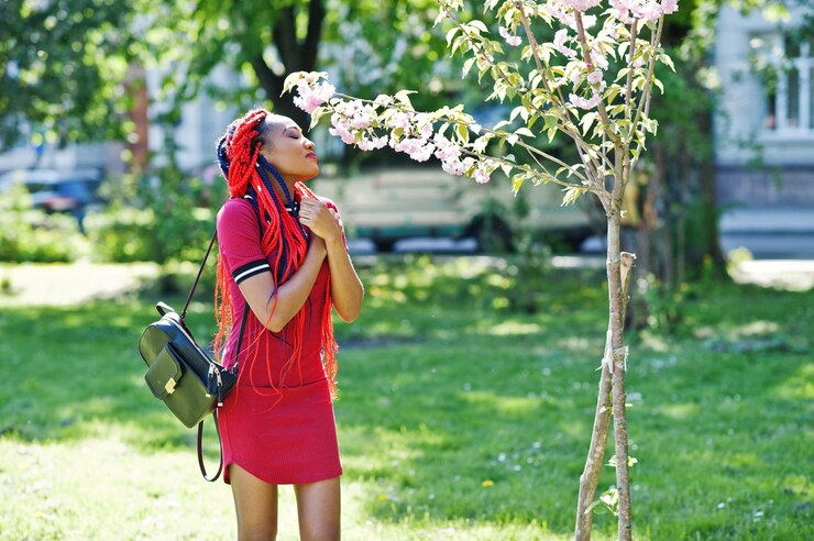 MySpringISD: Your Ultimate Guide to the Spring Independent School District